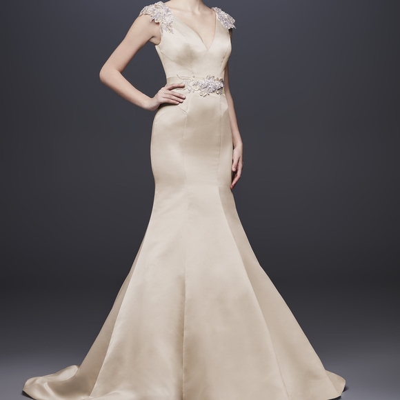 Zac Posen champagne wedding dress size